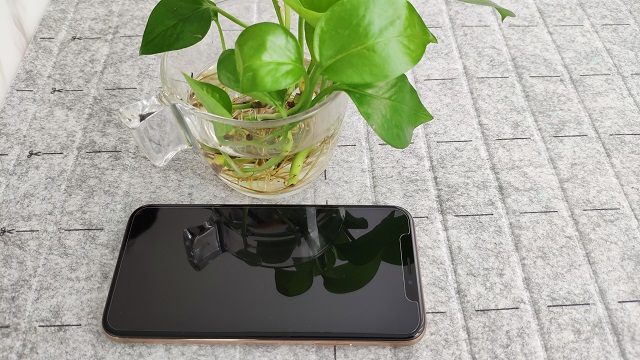 1539856458353792.jpg 教你1分钟学会贴iphone xs钢化膜.jpg